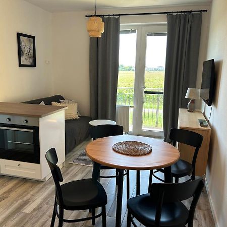 Appartement Samorin Xbs View Apartman Plus Parking Extérieur photo